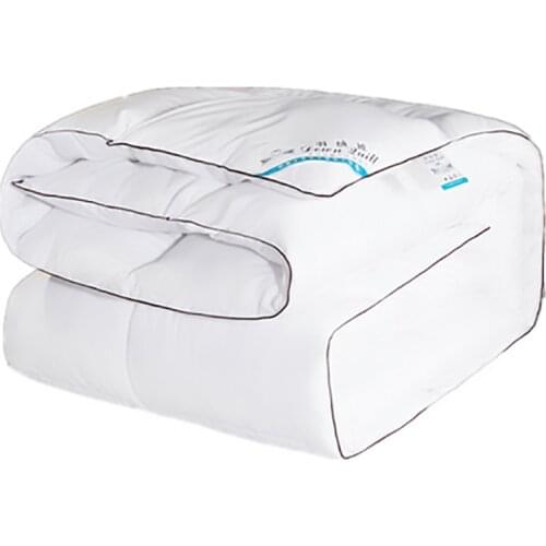 1pcs Duvet Winter Warm Quilts Dekbed Insert Deken Filler 220*240 Zware Ganzendons Dekbed Koning Koningin Twin Size