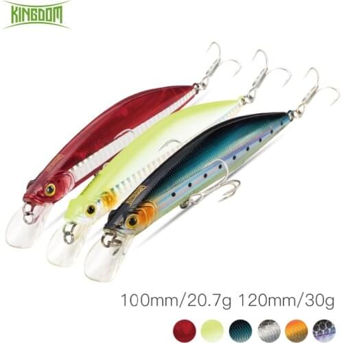 Kingdom Floating Isca Artificial Swimabait 100mm/20.7g 120mm/30g Crank Jerkbait Fishing Wobblers For Pike Fishing Trout Lure