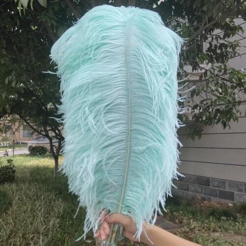 Hot sales! New 100 PCS pretty Mint Green ostrich feathers 50-55 cm/20-22 inch plume wedding performing art decoration feather