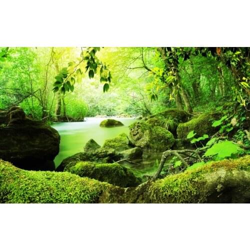 Customize Photo Print Curtains Forest stone Blackout Curtains For Living room Bedrooms Sound proof Curtain Luxury Home