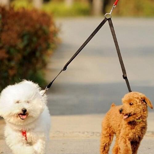 Double Twin Dual Coupler Dog Leash Two in One Strong Nylon V Shape Two Way Dog Walking Lead Leash Colorful 1Pcs