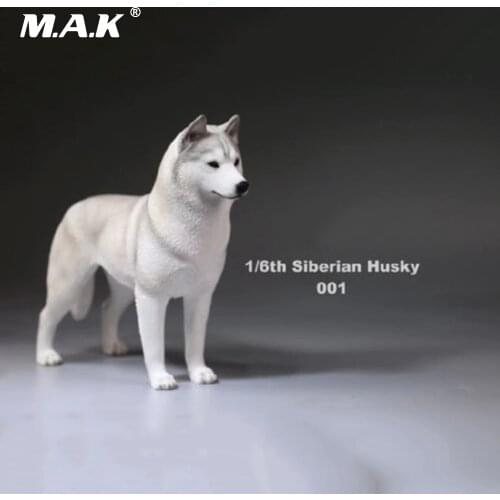 1/6(12") Action Figure Accessory 1:6 Siberian Husky Simulation Animals Sixteenth 001 Dog Model Toys