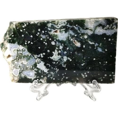 1PC 0.28kg Natural Petrified Wood Fossil Stones Crystal Slice Coaster Mineral Specimen Stand Gift Charming Dragon Image Natural