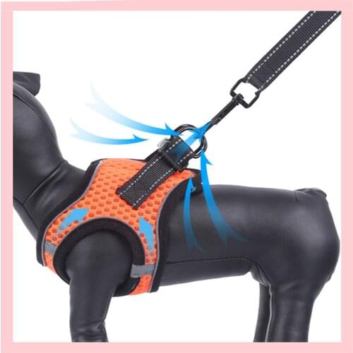 Adjustable Mesh Vest Dog Harness and Leash Set For Small Medium Dog Cat Harness Vest Reflective Walking Lead Leash
