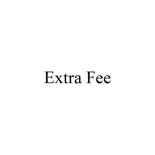 Extra Fee2