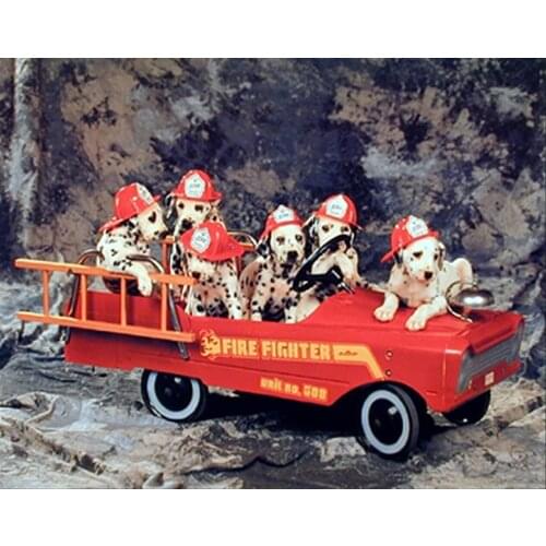 JMINE Div 5D Fireman Dog fire truck firefighter Full Diamond Painting cross stitch kits art Animal 3D paint by diamonds