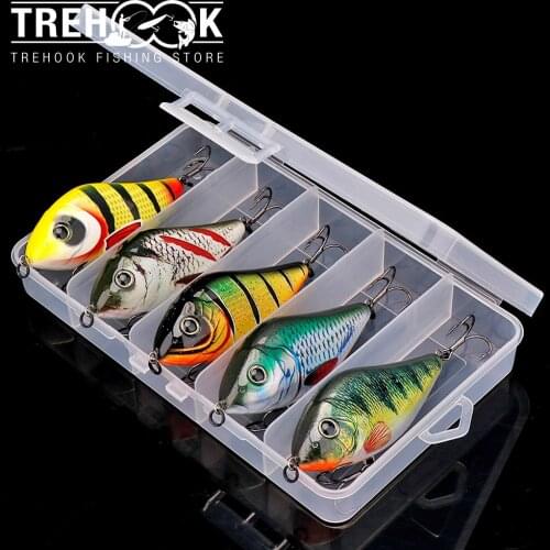 TREHOOK 5pcs Killers for Pike Sinking Wobblers Fishing Lures Set 8cm 24g Jerkbait Hard Artificial Bait with Fishing Tackle Box