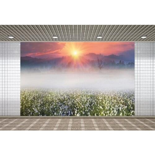Lyavshi Sunshine Mountain Field Scenic Photography Backgrounds Vinyl Customizable Photographic Backdrops For Photo Studio