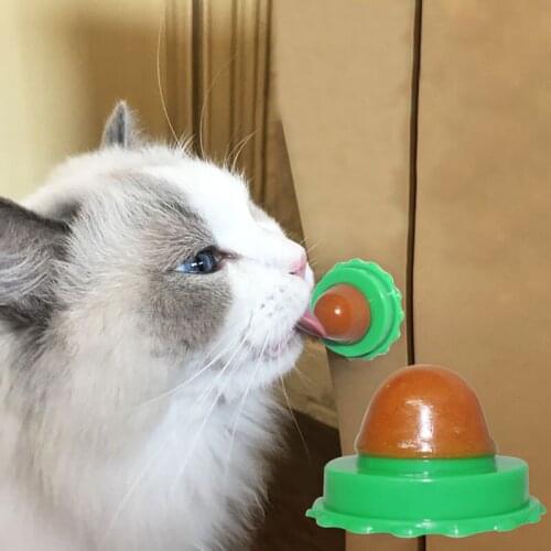 Cat Solid Nutrition Gel Energy Ball Stick to the Wall Toy Catnip Sugar Ball Nourishes Inside Cat Snacks Licking for Kitten Toys