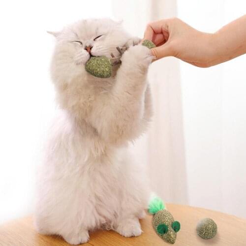 Pet Cat Kitten Matatabi Fish Mouse Shape Ball Teaser Interactive Play Chew Toy