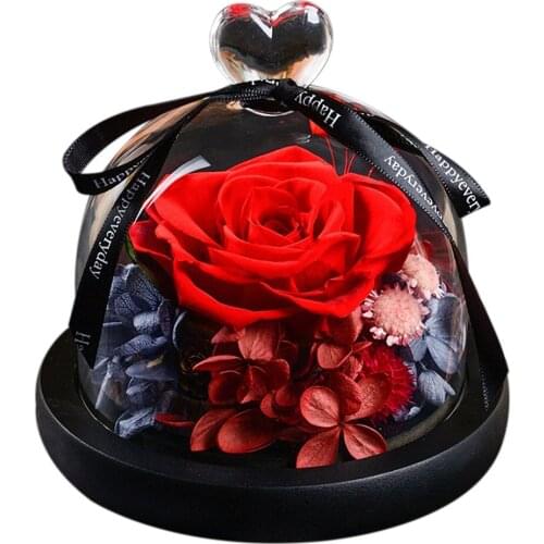 Preserved Fresh Flower Miniature Red Rose Last Forever in Glass Dome with Light Mother Girlfriend Wife Gift Decorative Figurine