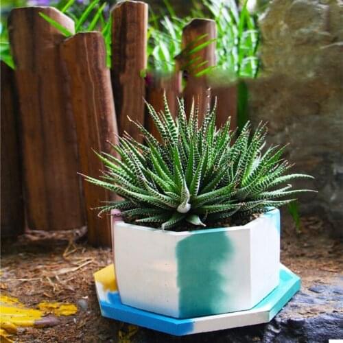 U2JF DIY Silicone Concrete Flower Pot Mold Mould For Plant Decor Succulent Plants