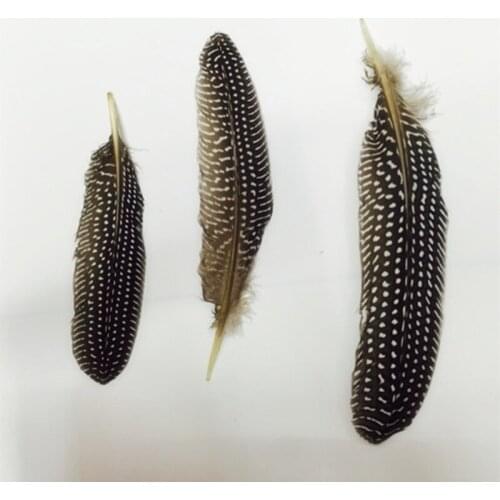 100Pcs/Lot 13-16CM Natural Black&White Guinea Fowl Wing Feathers Guinea Hen Wing Quills Wedding DIY Hair Accessories