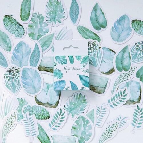 DICHOD Cycling Products