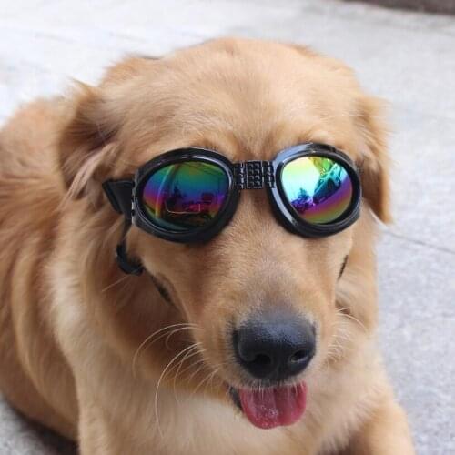 Dahomemon Dog Accessories