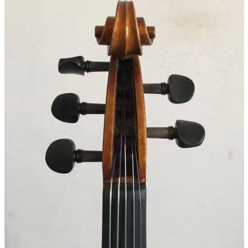 Master 5 Strings 4/4 violin Maggini model excellent handcraft nice tone