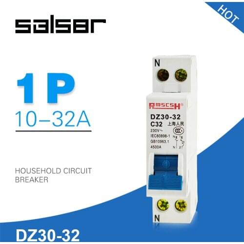 Mini Circuit breaker DPN DZ30-32 1P+N 10A 16A 20A 25A 32A 230V 50/60HZ MCB Double In Double Out