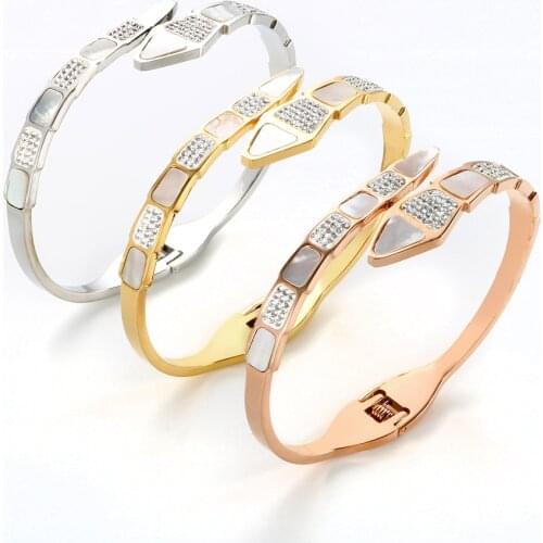 Fashion Snake Shape Bracelet High Quality Cubic Zirconia Crystal Stainless Steel Bangle for Women Men Couple Luxury Jewelry
