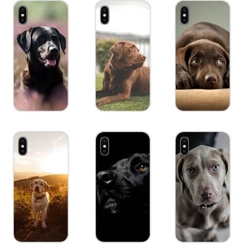 Accessories Phone Cases Covers funny labrador dog For LG G3 G4 Mini G5 G6 G7 Q6 Q7 Q8 Q9 V10 V20 V30 X Power 2 3 K10 K4 K8 2017