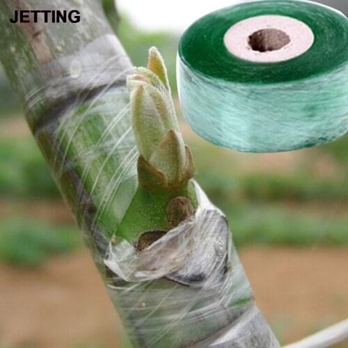 2Cm X 100M / 1 Roll Enten Tape Tuingereedschap Fruit Boom Snoeischaar Engraft Tak Tuinieren Binden Riem pvc Tie Tape