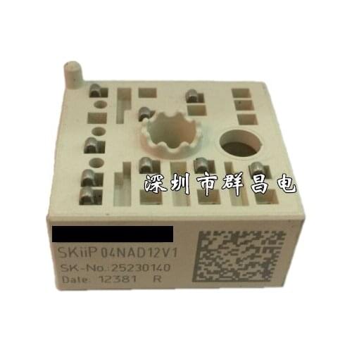 SKIIP04NAD12V1 Actual Stock Photos Original Goods