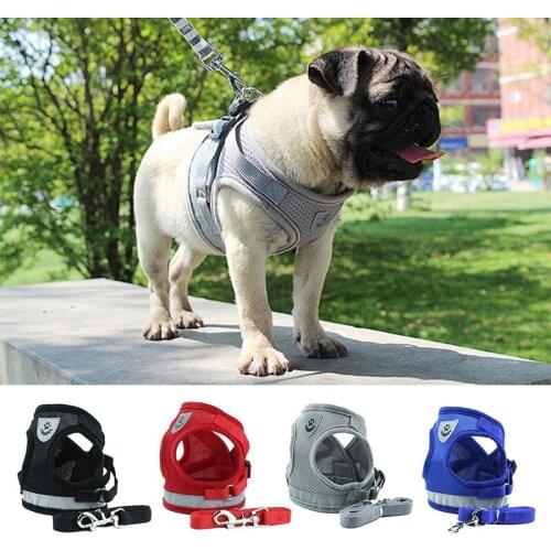 Miarko Harnesses