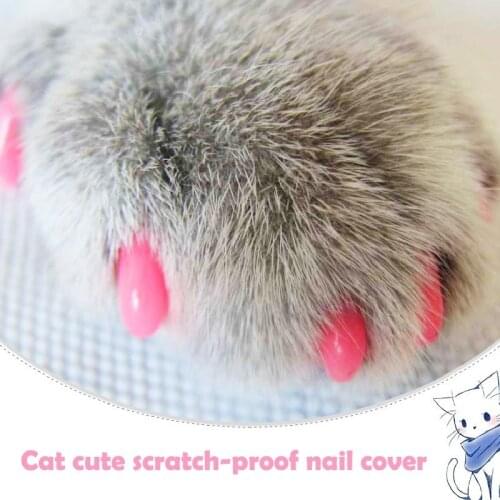 20pcs Soft Cat Nail Caps Cat Nail Cover Paw Claw Pet Silicon Nail Protector with free Glue and Applictor pet grooming