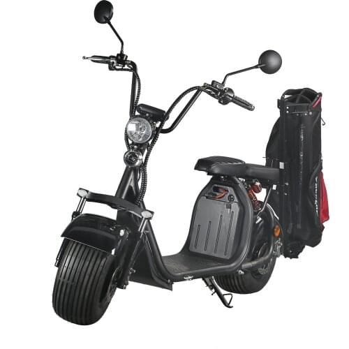 2 Wheel Electric Scooters with Golf Bag Carrier 1500W Fat Tire Electric Bike Golf Scooter Electric Motorcycle