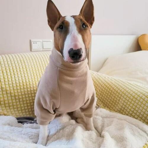 Dog clothes plus velvet solid color sweater Big dog costume Bull Terrier/Labrador/Fighting/Greyhound/Dog clothes