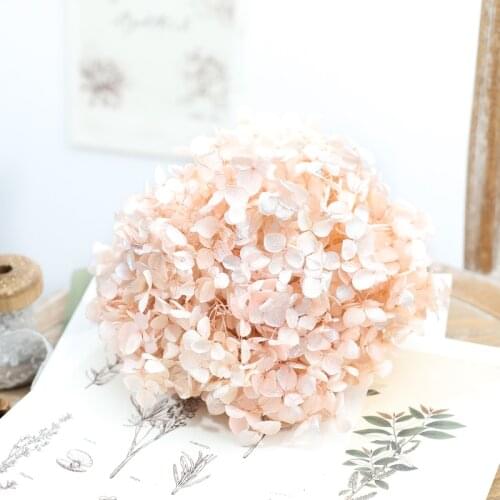 Dried flower Light Pink Silver 20G DIY material Grade A Anna Folium Hydrangea polychrome wedding decoration table
