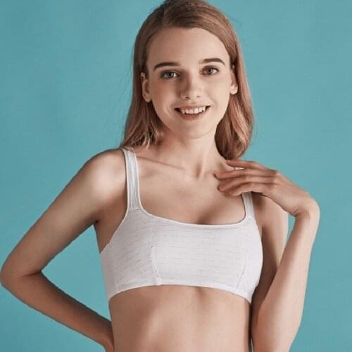 Wasteheart Women Fashion Gray Pink Bralette Wireless Small Chest Student Bras Girl Cotton Maiden Bras Bamboo Fiber Underwear