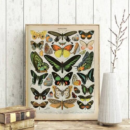 Antique Butterfly Vintage Poster Prints Insect Kind Nature Education Wall Art Canvas Painting Picture Kids Room Home Wall Decor