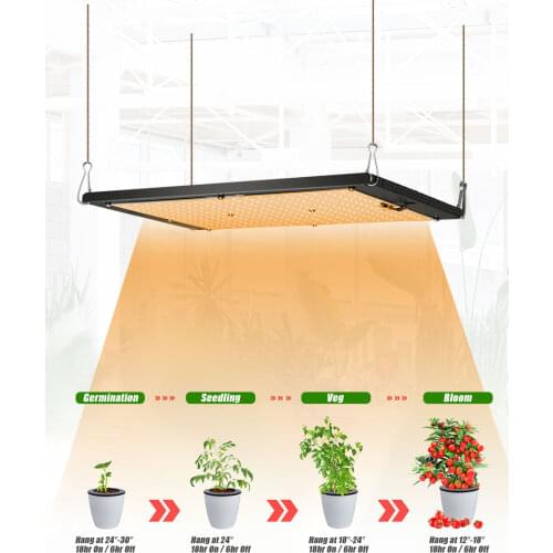 YXO YUXINOU Professional Lighting