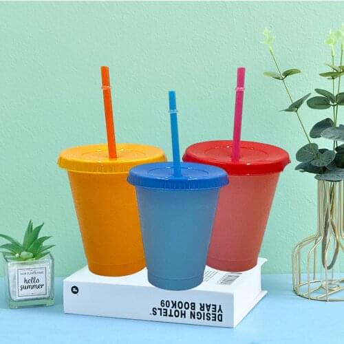 5Pcs 480ml Straw Cup Fixing ring Color-changing Design PP Kids Straw Mug for Gifts