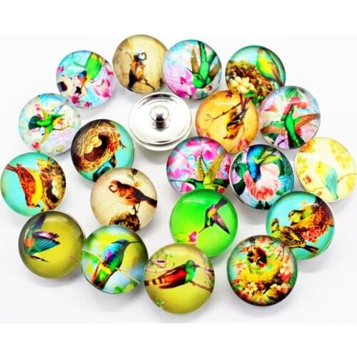 Mix 20pcs/lot cute woodpecker Snap Buttons Charms 18mm Print zoology Glass Buttons Fit DIY Snap Bracelets&Bangle Jewelry