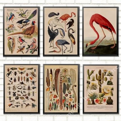 Birds Dinosaur Vegetable Educational Identification Background Pattern Posters Wall Stickers For Living Room Home Decoration/2