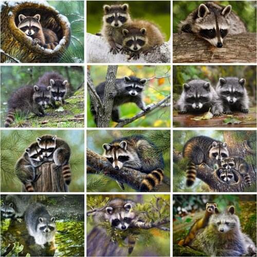 EverShine Diamond Painting Raccoon Rhinestones Art Diamond Mosaic Animals Cross Stitch Bead Embroidery Kits Sale Handicraft Gift