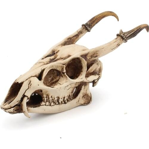 Simulation Ibex Skull Desktop Ornaments Goat Skeleton Head Figurine Sculpture Teaching Animal Horn Sheep Statue Craft Home Decor