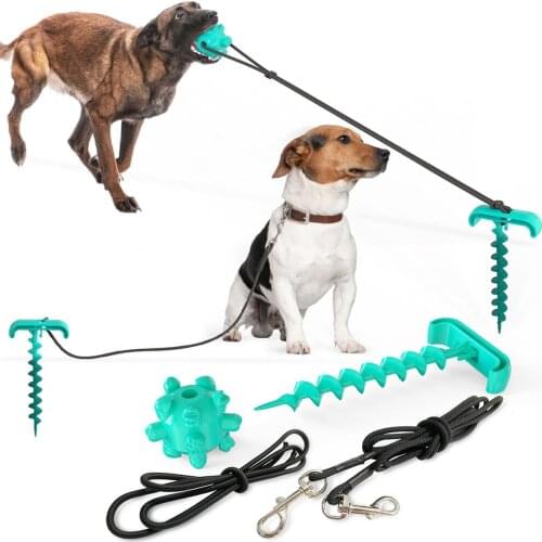 Outdoor New Pet Grazing Leash Dogs Leash Walking Training Lead Chewing Toy Interactive Cleaning Teeth Chewing IQ Toys