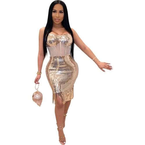 Elegant Sequin Dress Women Bodycon Evening Party Dresses Sexy Mesh Patchwork Sleeveless Tassel Shiny Dress Vintage Plus Size