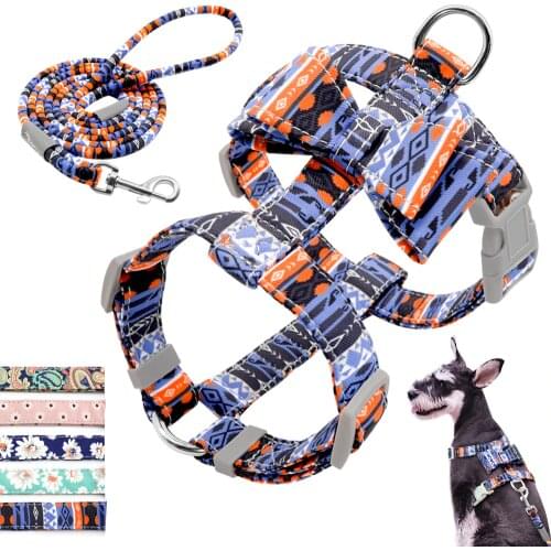 Colorful Print Dog Harness With Leash Nylon Dogs Harness And Walking Leash Set Cute Bow Knot Accessory for Small Medium Dogs Pug