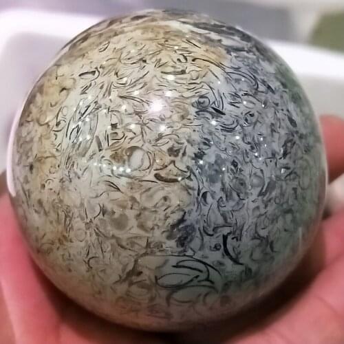 45-60mm Natural Shell Fossil sphere Fossil seashells specimen Globe Ball Rock stones and Minerals Reiki Healing Home decor