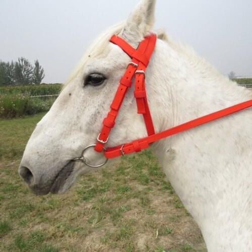 Classic PVC Horse Riding Accessories Equestrian Supplies Full Horse Bridle With Fixed Rein Red Color Belt For Horse Equipment