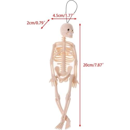 Skeleton Human Model Skull Full Body Mini Figure Toy Phone Hanger Halloween D5QA