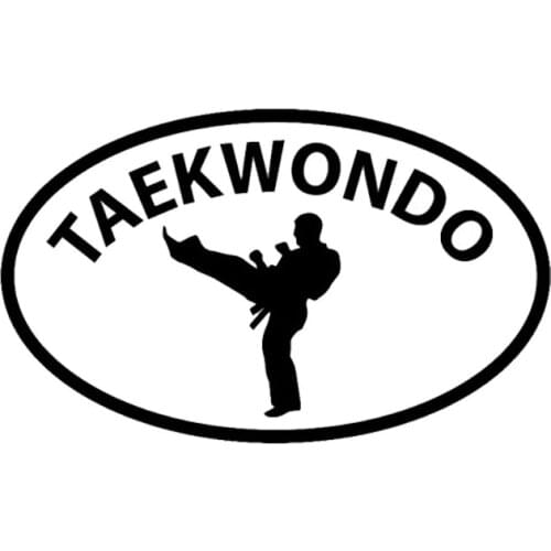 16.5cm*10cm Creative Fashion Personalized Taekwondo Vinyl Decal Accessories C5-0583