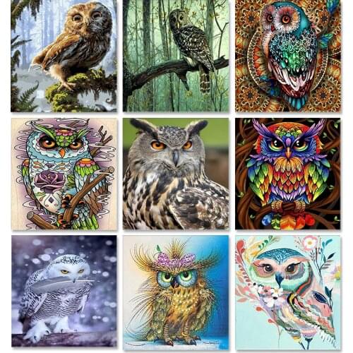 PhotoCustom Owl Paint By Numbers Animals DIY 40x50cm Oil Painting By Numbers On Canvas Frameless Digital Hand Painting Home Deco