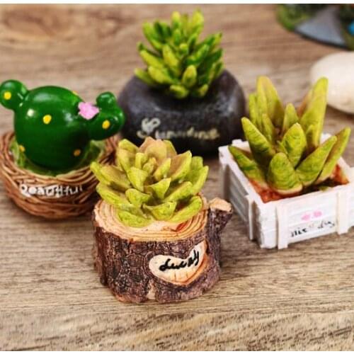 Multi meat plant bonsai micro landscape fashion home Creative Desktop resin ornament multi meat bonsai small gift