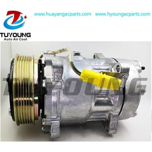 Sanden 6V12 1907 Car Ac Compressor For Peugeot 206 Citroen Berlingo 9646273880 9684480180 1438F 6453JL