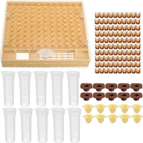 Beekeeping Queen Rearing 110 Cell Cups Kit Beekeeping Equipment Beekeepers Tools Bee Keeping Plastic Beekeeping Box Cage Set