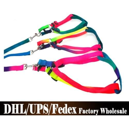200Pcs/Lot Pet Dog Cat Safety Harness Adjustable Dog Pulling Rope Pets Dog Leash Seven Color
